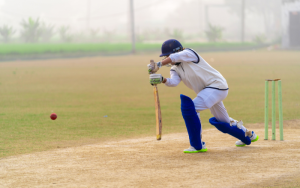 t20 cricket game online play